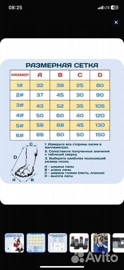 Обувь для животных