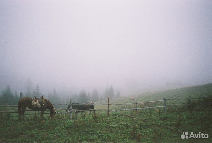 Пленочный фотоаппарат Yashica MG-2 + примеры