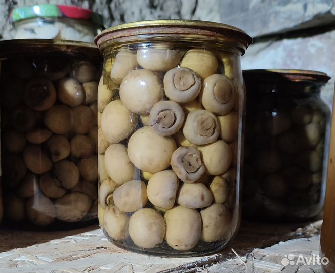 Грибы маринованные и домашние соления
