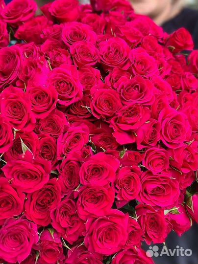Роза, роза кустовая, букет из роз, доставка
