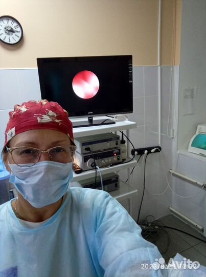 Ветеринарный врач. Эндоскопия собакам и кошкам