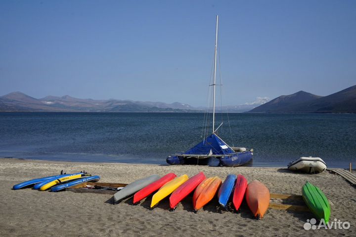 Озеро Толмачёва, озеро в кратере вулкана, медведи