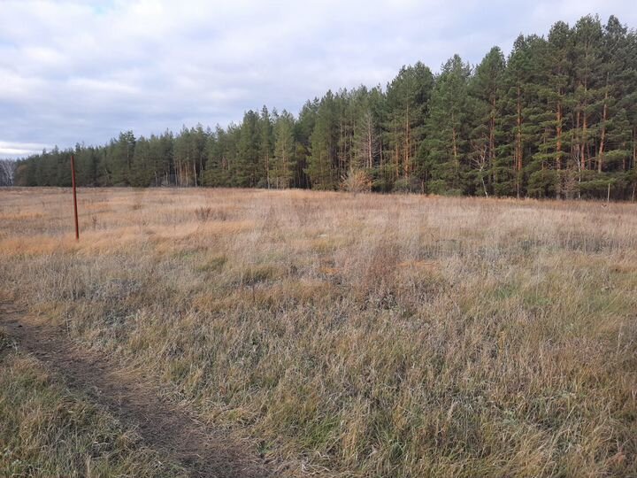 Участок 13 сот. (ИЖС)