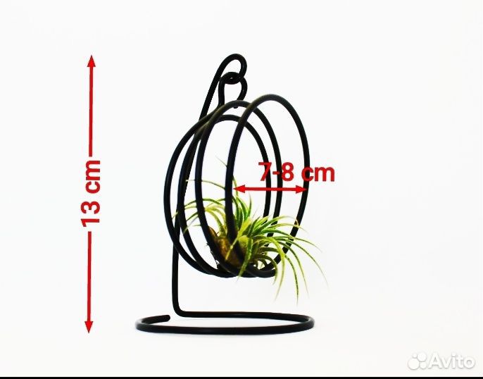 Подставка для тилландсии
