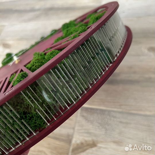 Часы со мхом