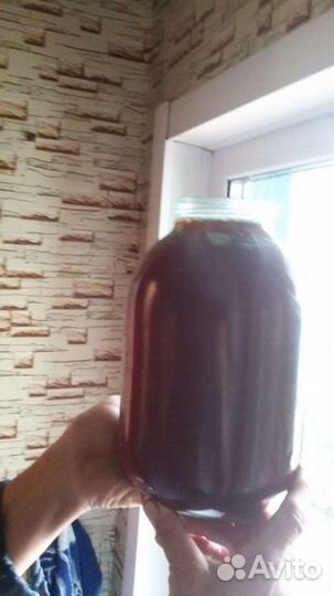 Мед разнотравье 2024