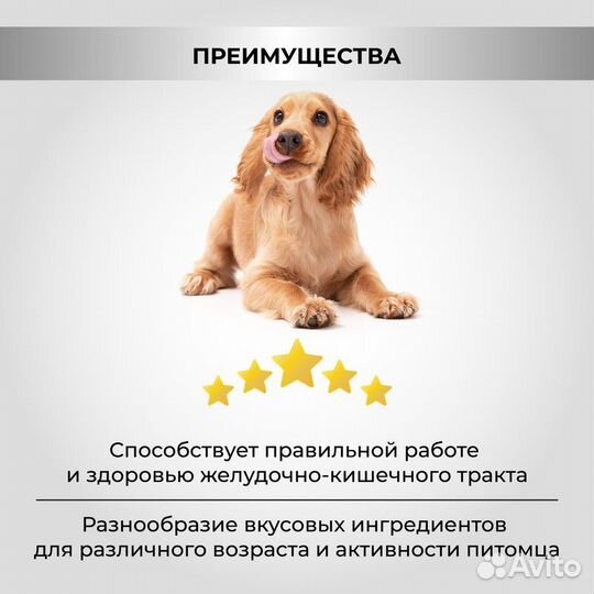 Сухой корм для собак