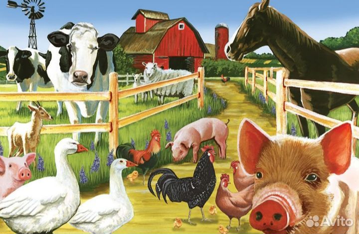 Премиум комбикорм родного края. магазин 