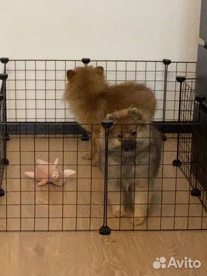 Клетка для животных (вольер, манеж для собак)