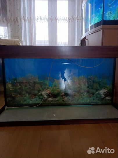 Аквариум и внешний фильтр Тетра 1200