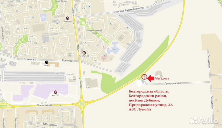 Kumho Ecsta PS31 205/50 R17