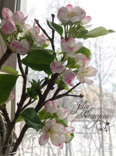 Ветка цветущей яблони.Холодный фарфор