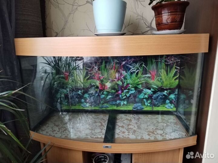 Аквариум juwel 180л