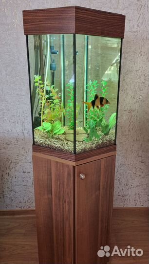 Аквариум 60 литров
