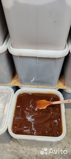 Мёд гречишный