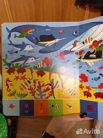 Книга с окошками Clever