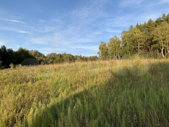 Участок 100 сот. (СНТ, ДНП)