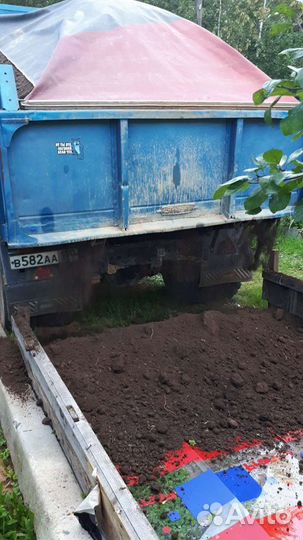 Грунт для хвойных растений, чернозем, навоз