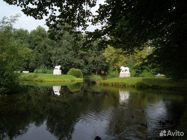 Samsung ST 65 Цифровой фотоаппарат