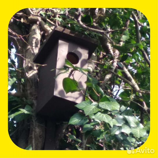 Скворечник для птиц
