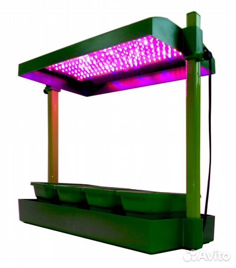 Домашний мини-огород