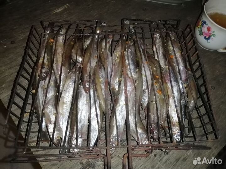 Мойва крупная сахалин