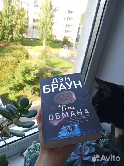 Дэн Браун, Точка обмана