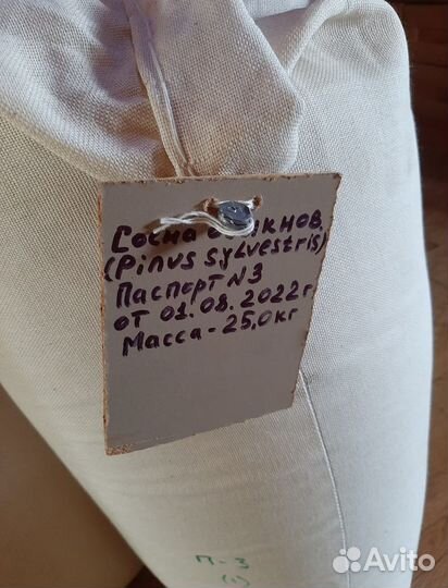 Семена ели на заказ