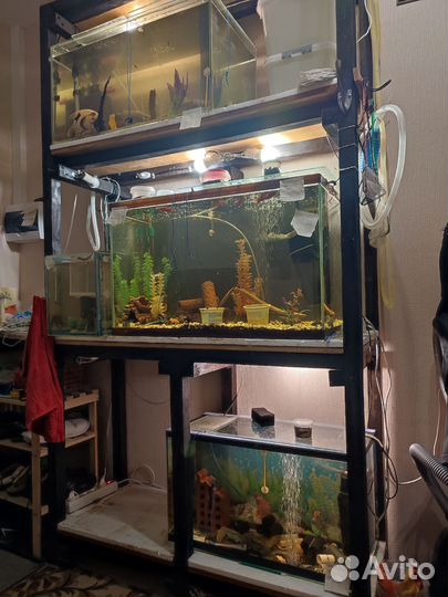 Аквариумная стойка