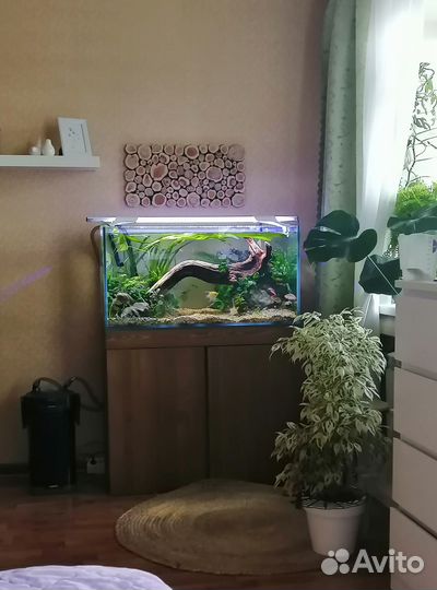 Аквариум действующий