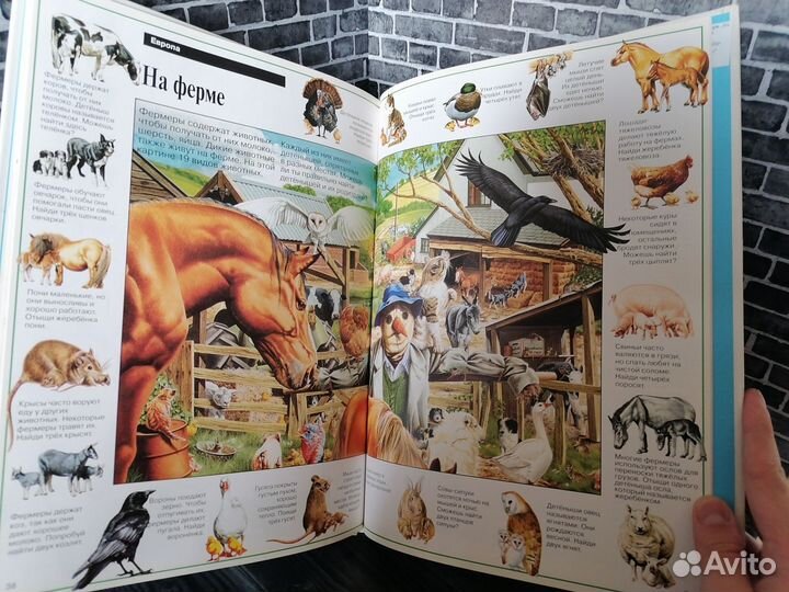 На поиски животных (Росмэн 1998 год)