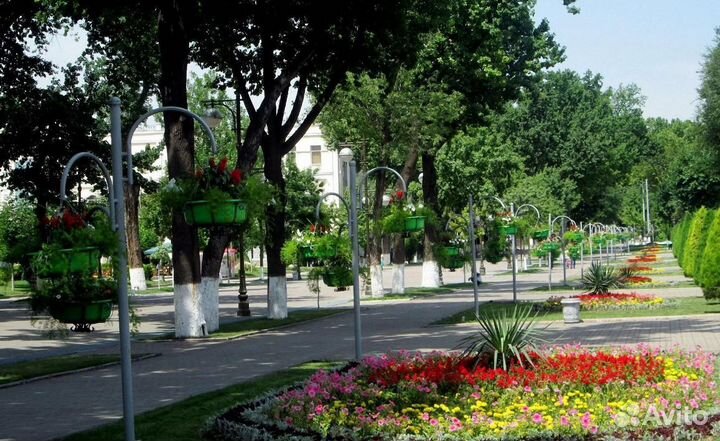 Эксклюзив-тур в Uzbekistan на 7 дн