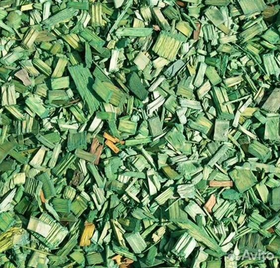 Щепа крашеная