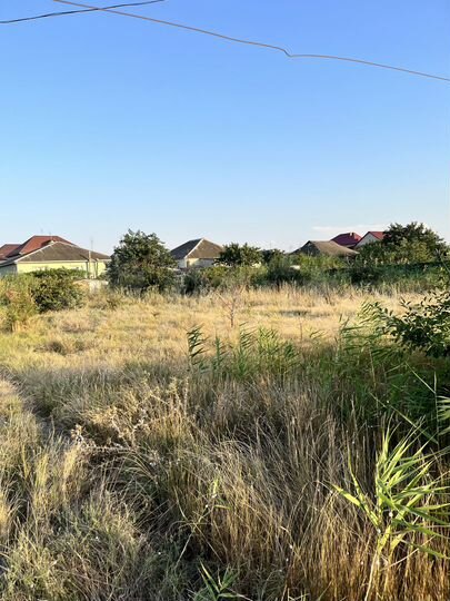 Участок 6 сот. (ИЖС)