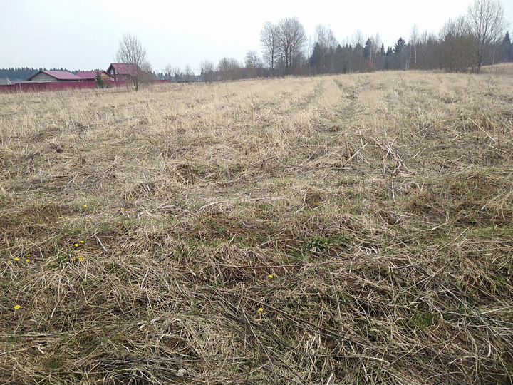 Участок 25 сот. (ИЖС)