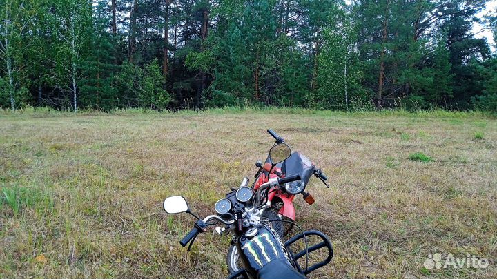 Продаю мопед альфа