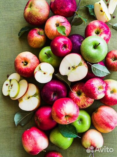 Разнорабочие на сбор яблок(вахта) 15смен