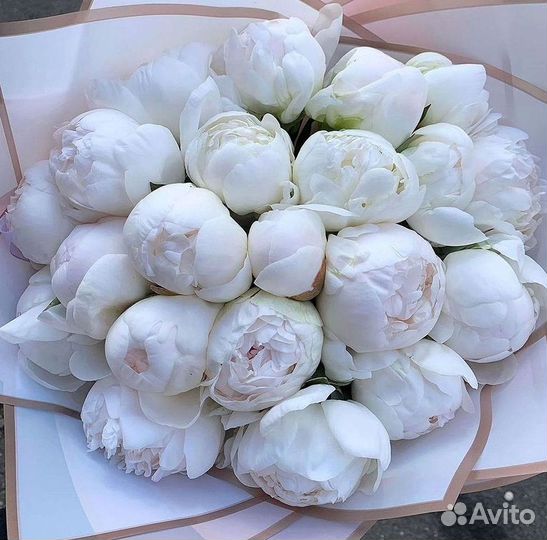 Пионы Букет пионов