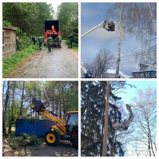 Удаление деревьев на участке. Любой сложности