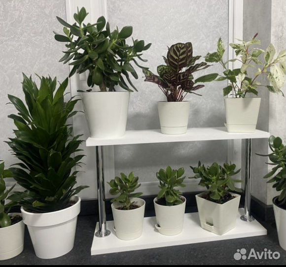 Полка для цветов на окно