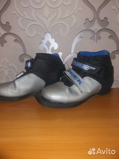 Лыжные ботинки