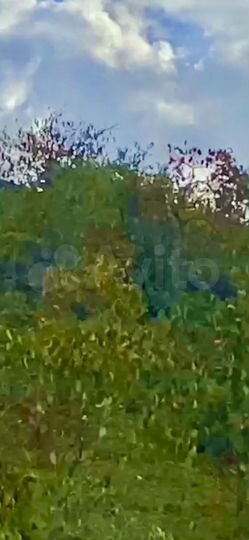 Участок 25 сот. (ИЖС)