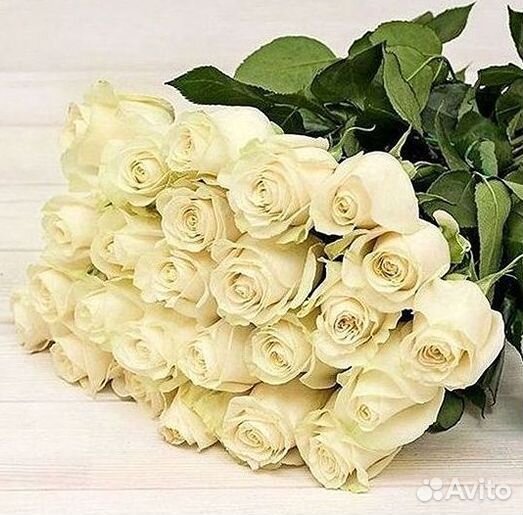 51 Роза, Букеты Цветы Розы 25 101 501 1001