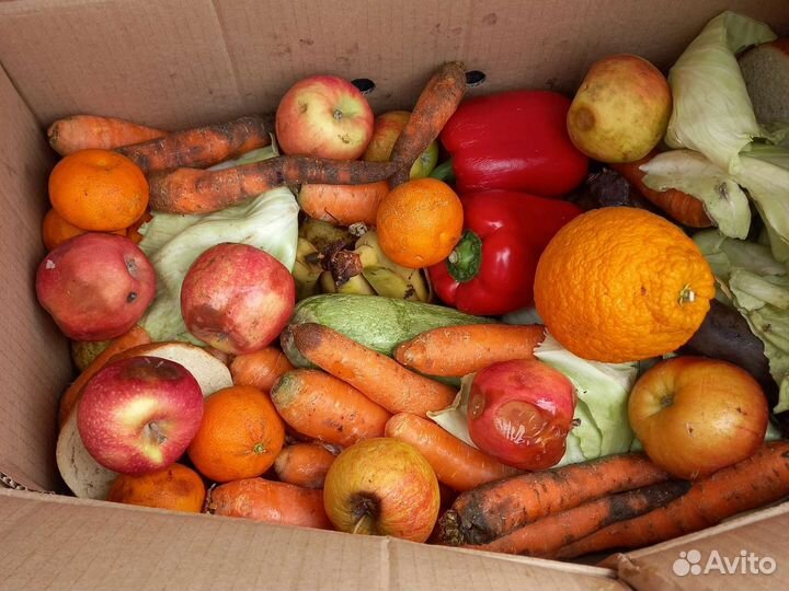 Овощи и фрукты. Молоко. Хлеб