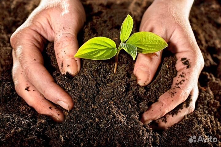 Плодородная земля