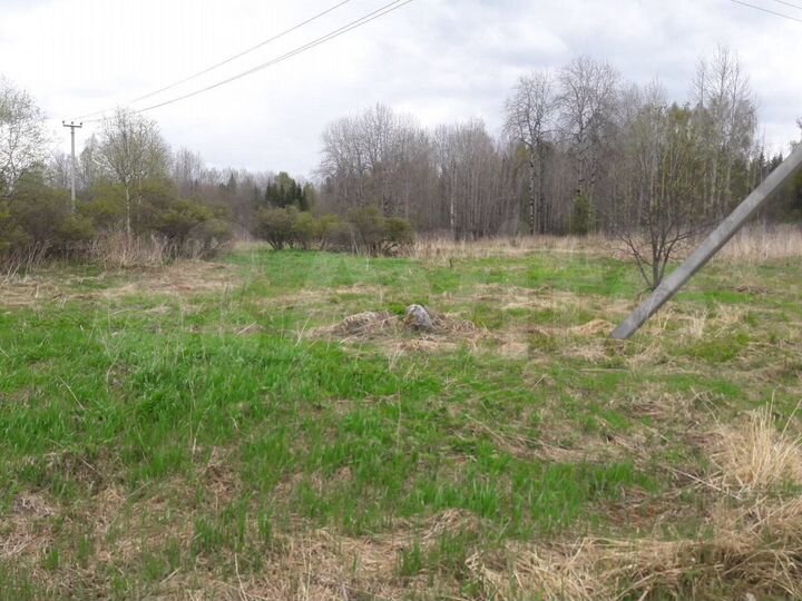 Участок 20 сот. (СНТ, ДНП)