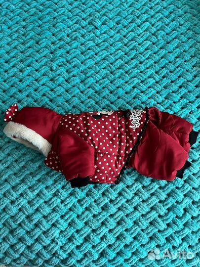 Комбинезон для маленьких собак