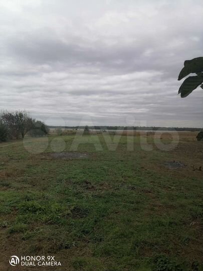 Дом 54 м² на участке 50 сот.