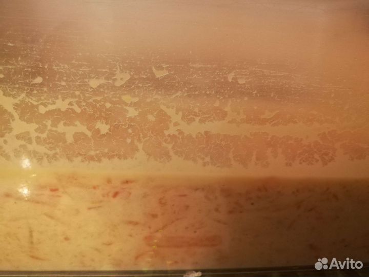 Дафния, инфузория, аулофорус, нематода, тетрамин