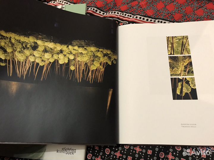 Книга по цветам и флористике барта Ниса -Bart Nys